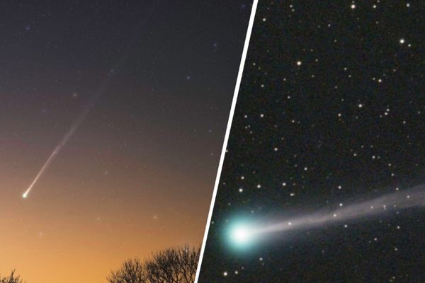 "فلكية جدة": ظهور المذنب (PanSTARRS) في سماء فجر غد