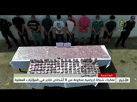 Algiers | Criminal network of 8 individuals trafficking psychotropic substances dismantled