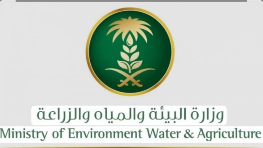 بيئة الشرقية: اليوم العالمي للبيئة يجسد نداءً عالمياً للعمل المناخي وتعزيز الاستدامة