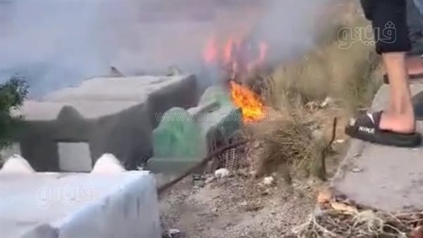 حريق يلتهم حشائش منطقة مقابر محي الدين ببني سويف (فيديو)