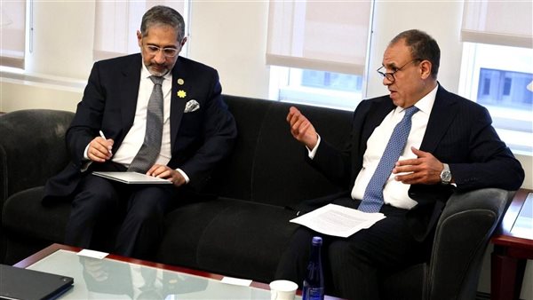 وزير الخارجية يلتقي رئيس المصرف العربي للتنمية الاقتصادية في أفريقيا