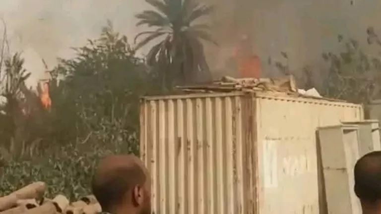السيطرة على حريق بأشجار النخيل في قرية بالأقصر