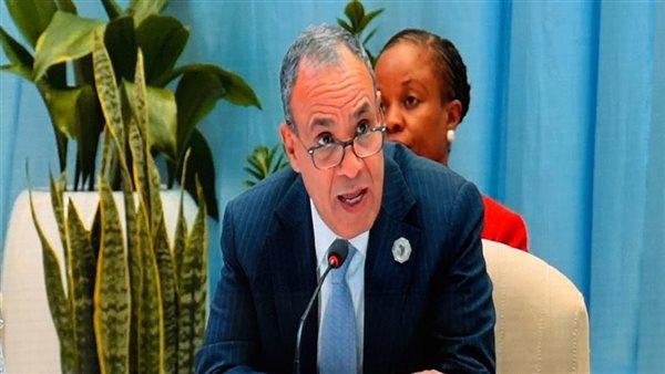 وزير الخارجية: المسار الدبلوماسي هو الأساس لحل الأزمات الإقليمية