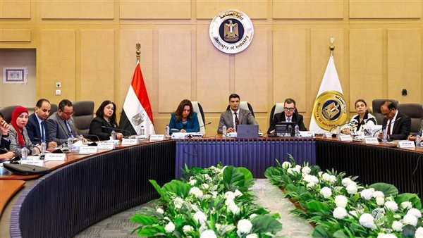 4 وزراء يبحثون خطة تنفيذ مشروعات "حياة كريمة" وخلق فرص عمل منتجة