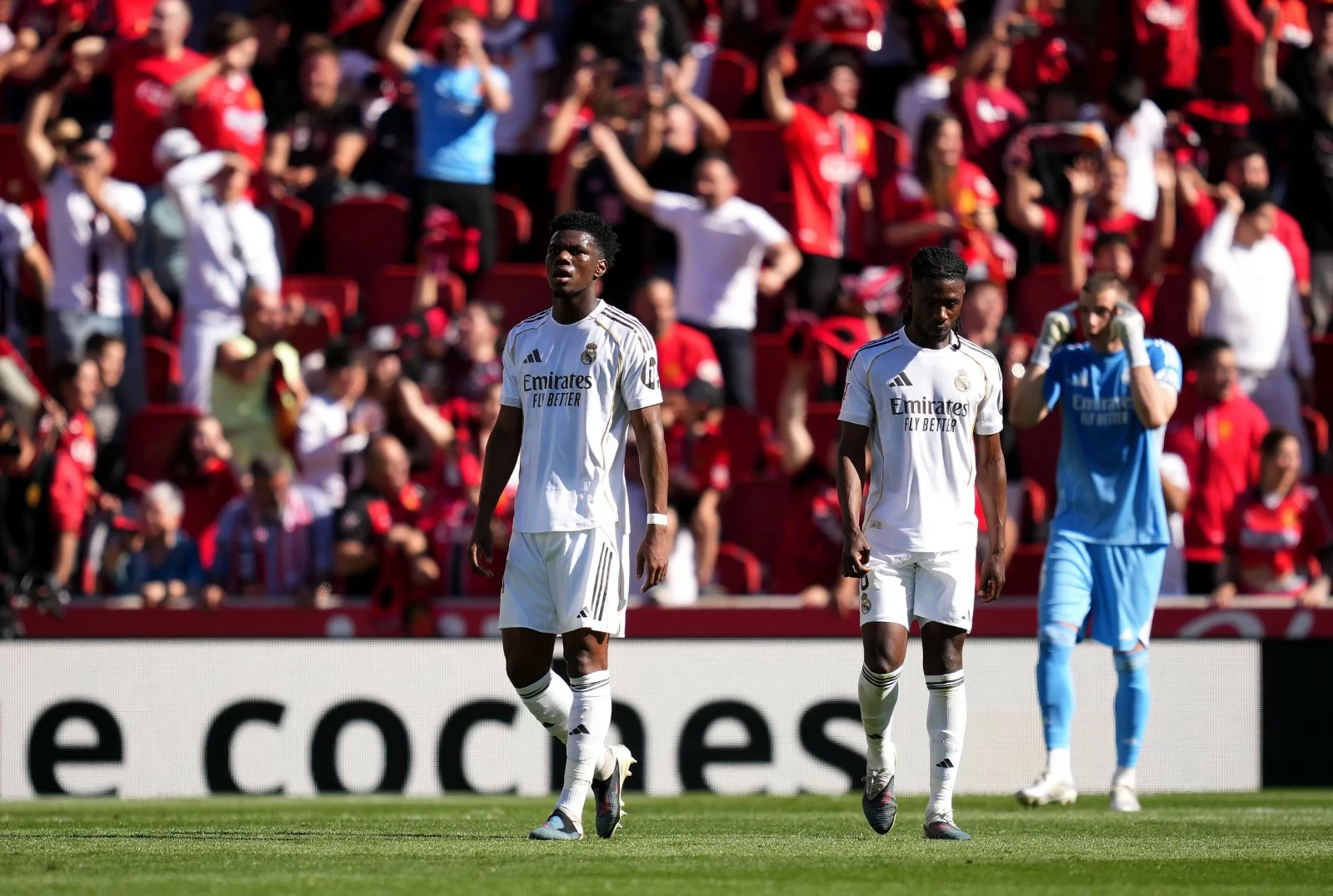 بـ«القاتل».. مايوركا يصعق ريال مدريد في «الليغا»