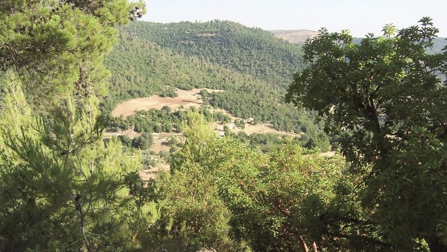 السياحة البيئية.. نموذج تنموي يستثمر الموارد الطبيعية دون استنزافها