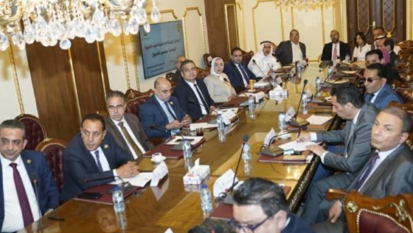 حزب الجبهة الوطنية: التزام حزبي صارم وخطة جديدة لرفع كفاءة الأداء تحت قبة الشيوخ