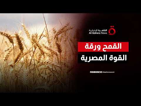 عندما تتحدث القاهرة تصمت البورصات.. أسرار النفوذ المصري في سوق القمح الدولي