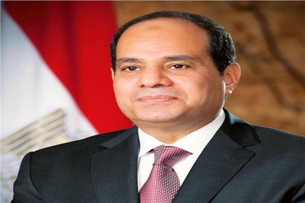 تفاصيل كلمة الرئيس السيسي خلال مؤتمر مع رئيس فنلندا