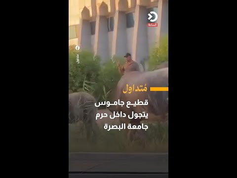 The Iraqi government's pretext of fighting corruption reaches al-Zaydi.