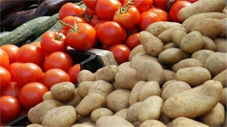 الطماطم تنخفض مجددًا.. تعرف على أسعار الخضراوات اليوم بالأسواق