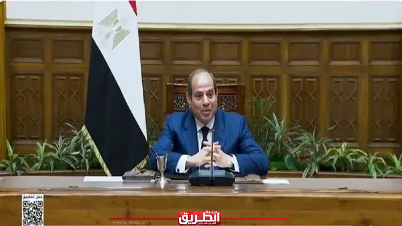 السيسي يقر منحا استثنائية ويعلن إضافة 5 ملايين فدان للرقعة الزراعية
