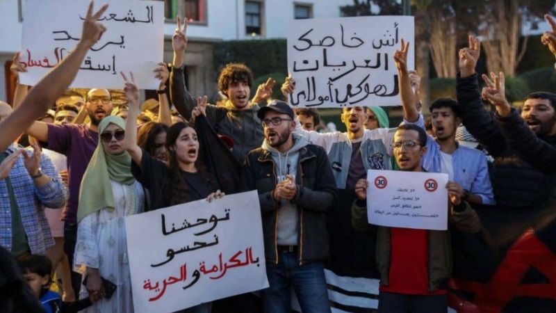تحركات حزبية لاستقطاب شباب "جيل زد" للانتخابات