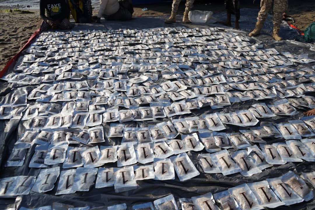 الحملة الأمنية لقوات العمالقة الجنوبية تضبط كمية كبيرة من المخدرات على متن قارب بالقرب من باب المندب