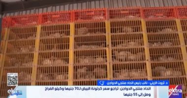 ثروت الزيني: انخفاض أسعار الدواجن والبيض نتيجة وفرة الإنتاج