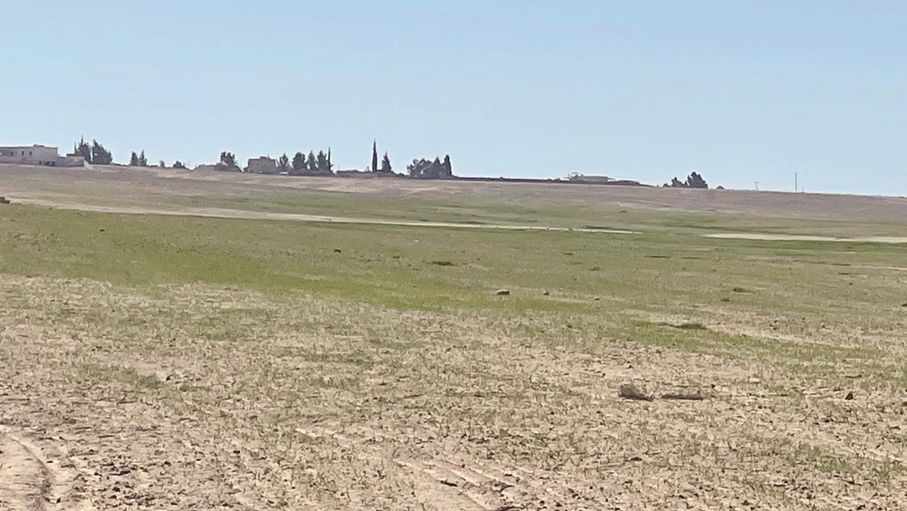 استصلاح أراضي الخزينة لم يعد خيارا بل ضرورة إستراتيجية لتعزيز الأمن الغذائي