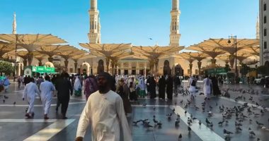 ساعة الصفر تقترب.. بعثة الحج تتحرك لضمان راحة الحجاج في عرفات.. مخيمات ألمانية مكيفة وشاشات عرض وثلاجات مجانية.. تيسيرات ذكية واستنفار طبى وخطة لمواجهة ارتفاع درجات الحرارة