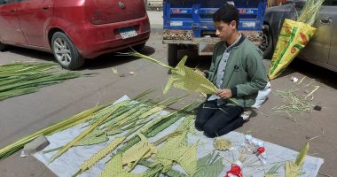 يباع مرة واحدة سنويًا.. تضفير زعف النخيل استعدادًا لاحتفالات أحد الزعف بالإسكندرية.. انتشار بائعى الزعف المضفر أمام الكنائس وسط إقبال الأقباط على الشراء.. البائعون: توارثنا فن تضفير الزعف من آبائنا..