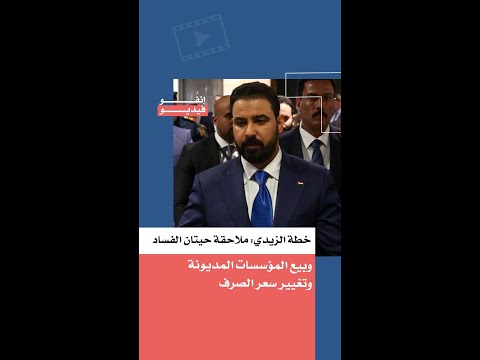 Al-Zaydi's plan: Pursue the corrupt elite, sell off state-owned enterprises, and change the excha...