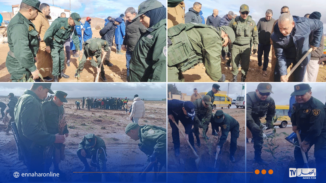 تيارت .. قيادة الدرك الوطني تشارك الفاعلين بحملة التشجير بقصر الشلالة
