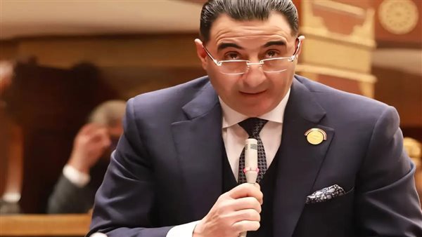 لحسم نزاعات الأسرة.. رئيس "برلمانية المؤتمر" بالشيوخ يقترح إنشاء آلية إلكترونية موحدة لقضايا الأحوال الشخصية