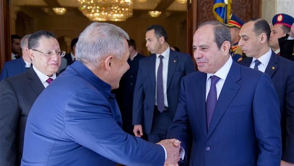 نشاط الرئيس السيسي خلال النصف الأول من أبريل (فيديو)