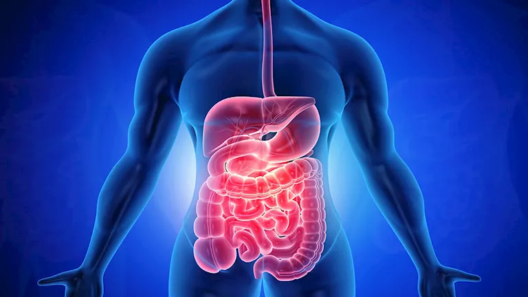 ما هي أسباب الإمساك والانتفاخات في رمضان؟