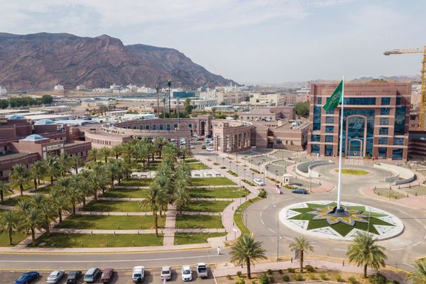 جامعة طيبة تستقطب 477 باحثًا لدعم الابتكار