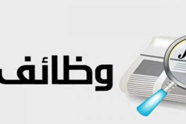 في 14 محافظة.. وظائف خالية داخل 77 شركة (إنفوجراف)