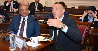 وكيل خارجية الشيوخ يشيد بدور الدبلوماسية المصرية في حماية مصالح الدولة