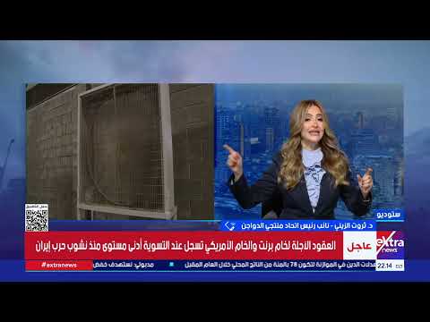 انخفاض سعر الكيلو لـ 55 جنيها.. اتحاد منتجي الدواجن يشير للأسباب وتحديات المنتجين