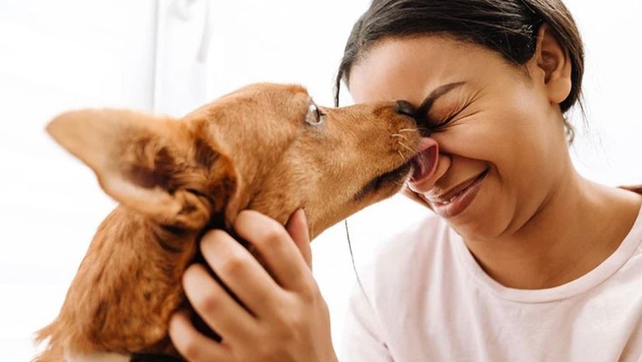 "لعقة كلب" تُفقد بريطانية أطرافها الأربعة