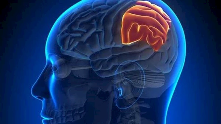 كيف تمكن العلماء من استهداف الخلايا السرطانية داخل الدماغ؟