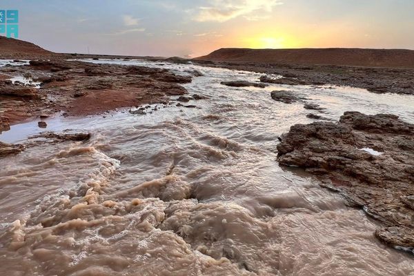 الأمطار تُنعش شعاب جنوب رفحاء وتُحفّز ازدهار الغطاء النباتي