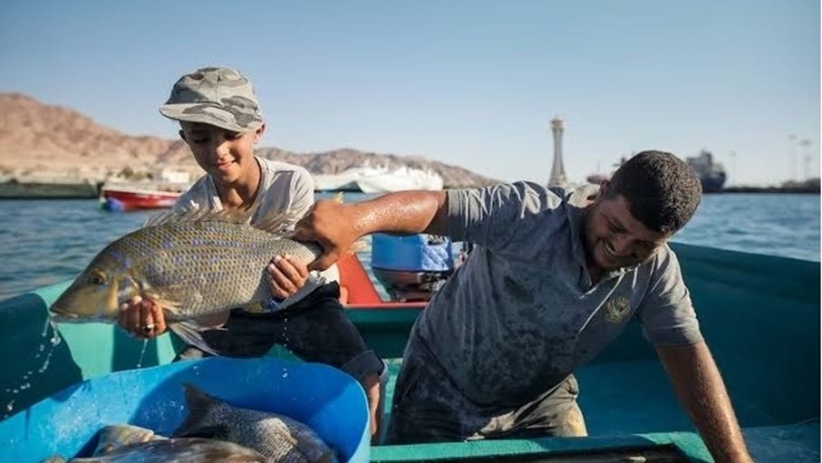 عودة الصيد في العقبة.. بحث عن الرزق وحكايات تعاش بتفاصيلها
