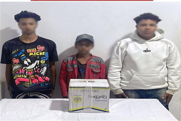 ضبط المتهمين بمغافلة صاحب محل وسرقة بضائع في سوهاج