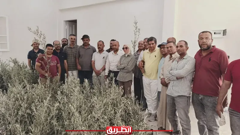محافظ جنوب سيناء يستجيب لمتضرري «تجمع النهايات» برأس سدر ويوجه بتعويضهم بشتلات زيتون