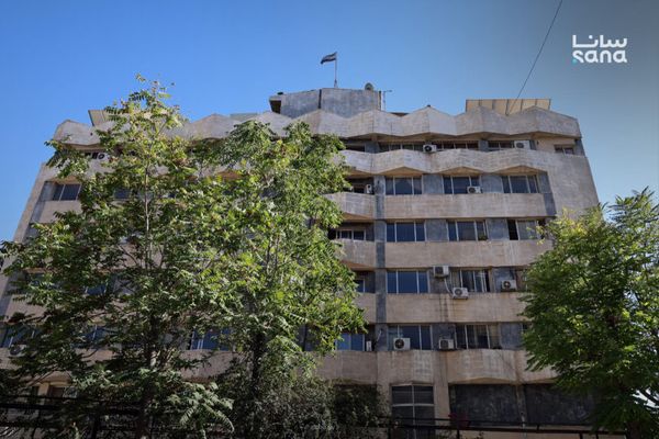 الزراعة: بدء استجرار بذار البطاطا نتاج المشروع الوطني لإكثار البذار في سوريا