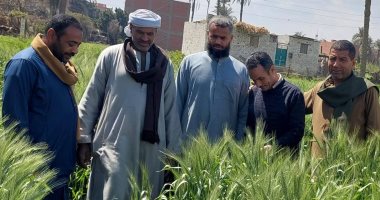 اعتماد 278 ألفا و236 استمارة لمزارعى بنى سويف ضمن منظومة كارت الفلاح