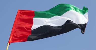 الإمارات ترحب بقرار البحرية الدولية الداعم لسلامة الملاحة في منطقة الخليج