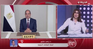 أستاذ علاقات دولية: أفريقيا هي العمق الحيوي للأمن القومي المصري