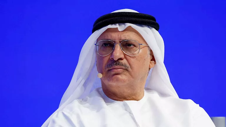 أنور قرقاش: الإمارات قادرة على تجاوز التحديات بثقة وثبات