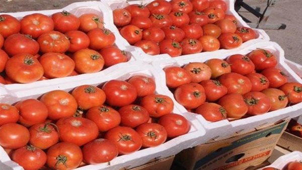 أسعار الخضروات اليوم الخميس 12 فبراير 2026 في سوق العبور