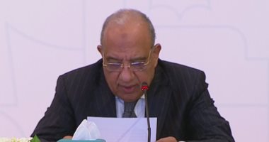 "شبكة عربية موحدة للكهرباء" كل ما تريد معرفته عن خط الربط بين مصر و السعودية
