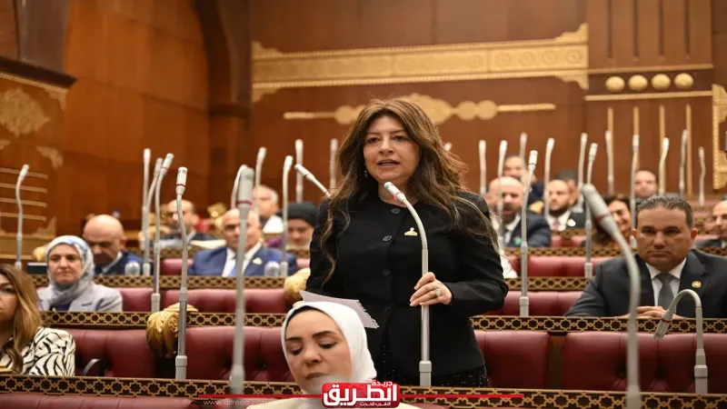 بعد ”نظام الطيبات”.. تحذير برلماني من انتشار ”نصابين الطب” والترويج لوصفات وهمية عبر المنصات الرقمية