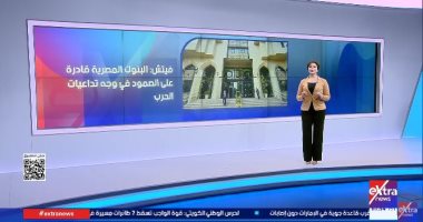 إكسترا نيوز: «فيتش» تؤكد صلابة البنوك المصرية وقدرتها على مواجهة التحديات