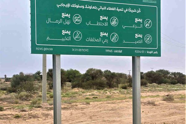 رحلة تحول بيئية سطرها أمير القصيم