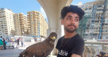 عصام يهوى تربية الطيور الجارحة.. يتجول بـ"عقاب" على كورنيش الإسكندرية