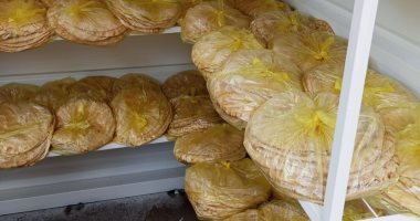 انتظام بيع الخبز المدعم بمنافذ التوزيع بالدقهلية يوميا فى 44 منفذا