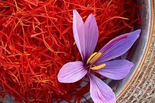 الزعفران الإيرانى ضحية جديدة لأزمة هرمز